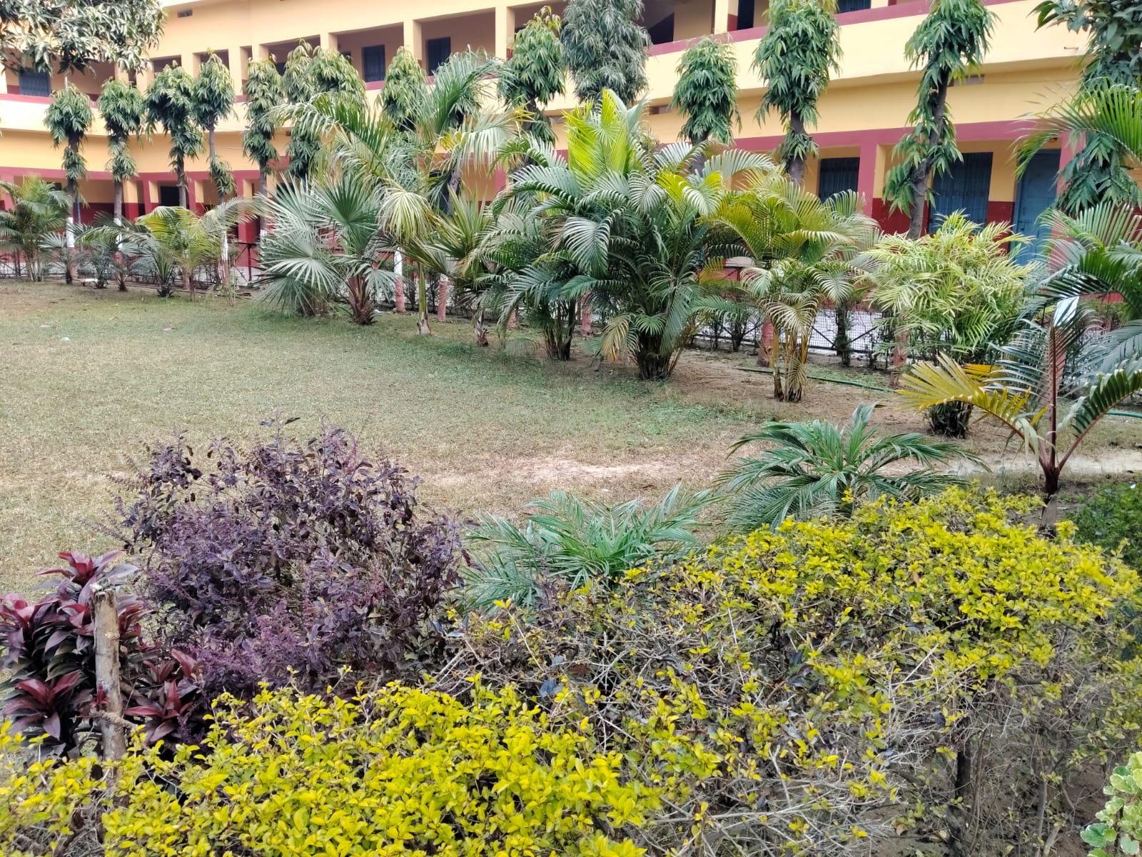 Campus view 10