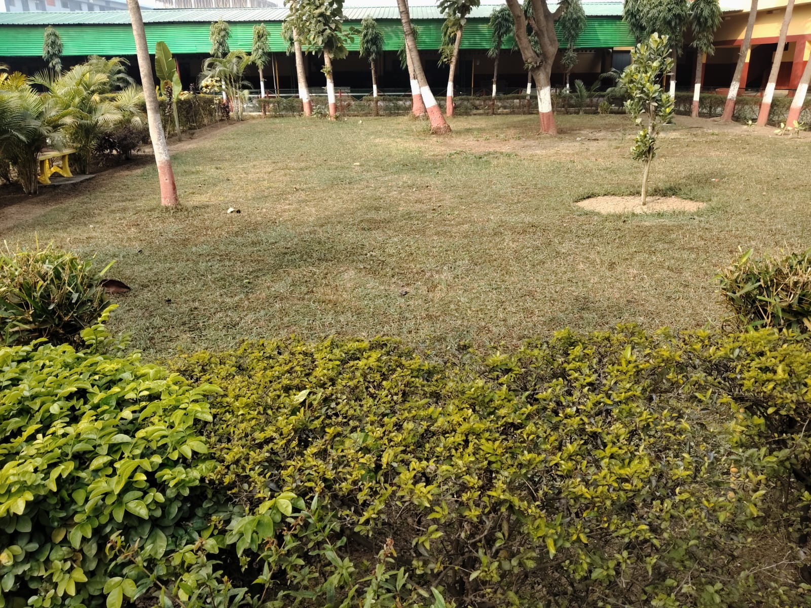 Campus view 13